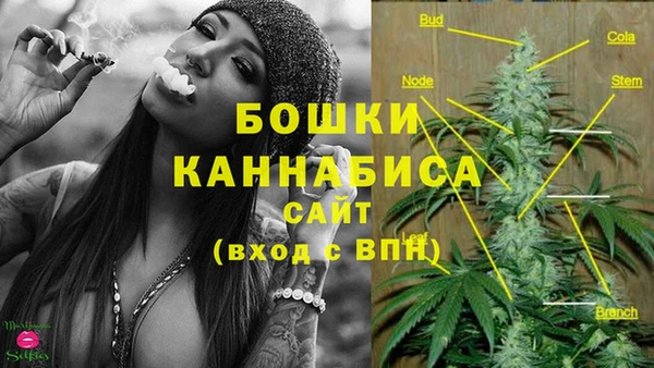 mdpv Куртамыш