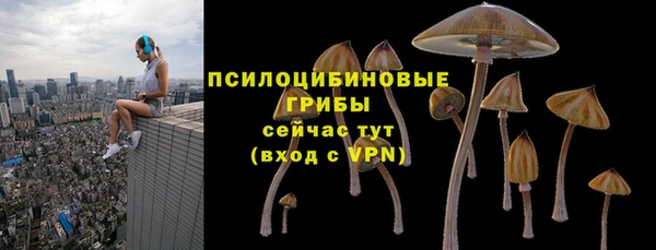 крисы Майский