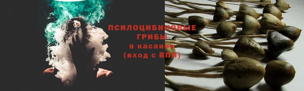 соль ск Богородск